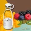 Portable electric blender